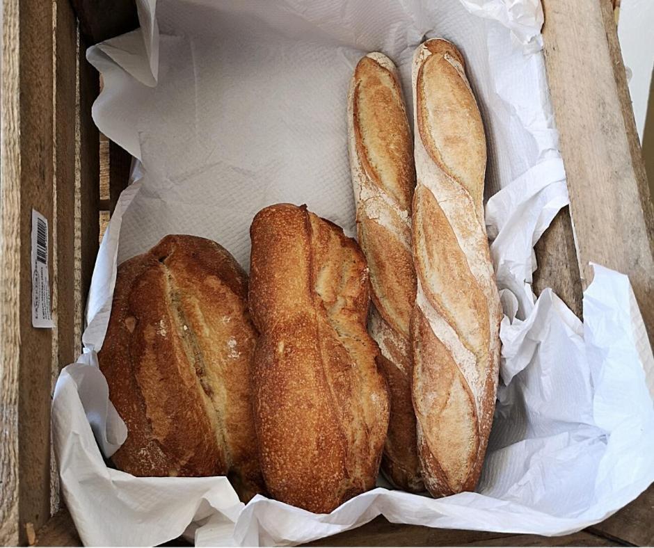 Le Refuge Orezza Piedicroce  외부 사진