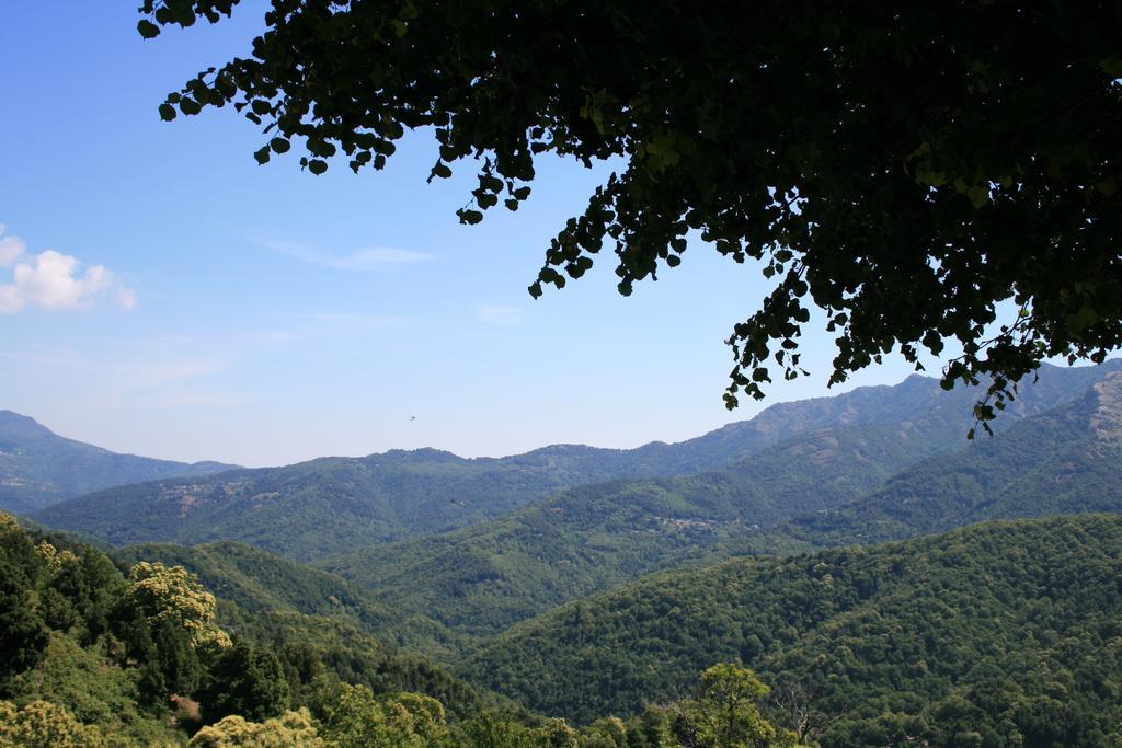 Le Refuge Orezza Piedicroce  외부 사진