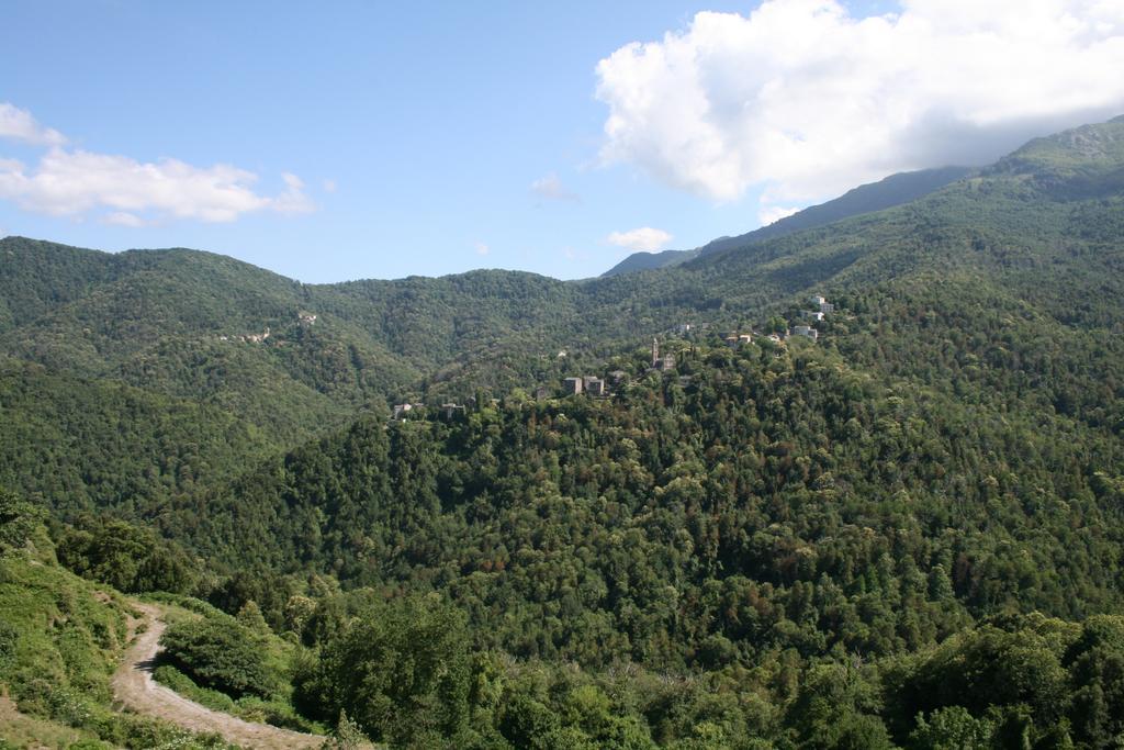 Le Refuge Orezza Piedicroce  객실 사진